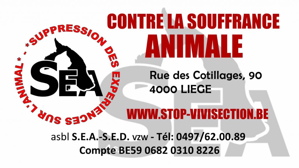 vistitesea2