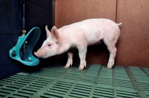 a8e45adc-107a-11e6-af26-845d6d3c9839_original