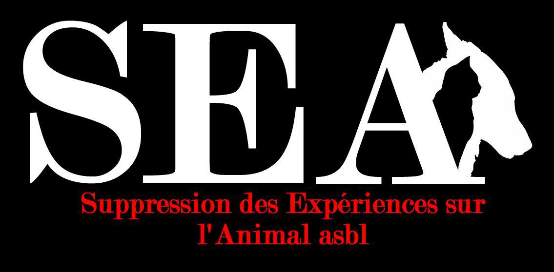 Aidez les animaux victimes de maltraitance dans les laboratoires – S.E.A. BE59 0682 0310 8226