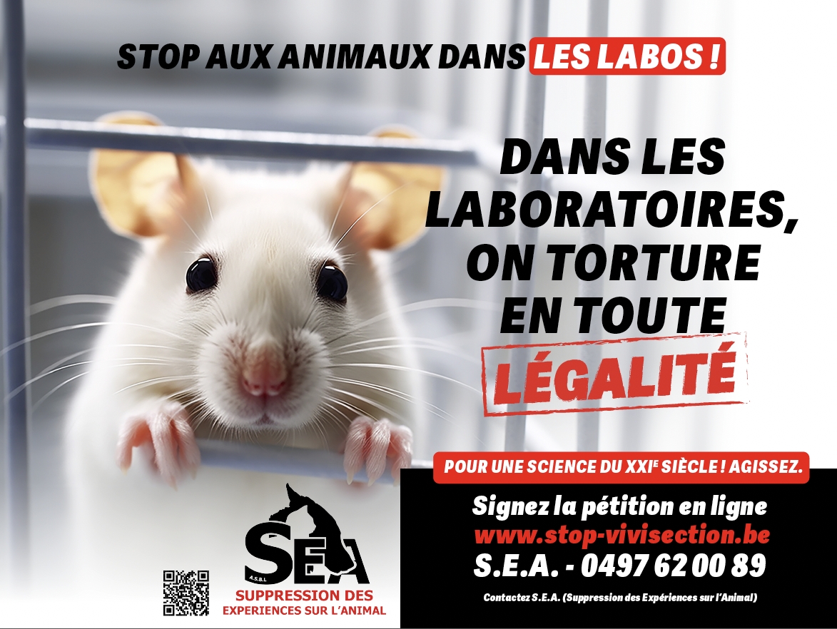 Aidez les animaux victimes de maltraitance dans les laboratoires – S.E.A. BE59 0682 0310 8226