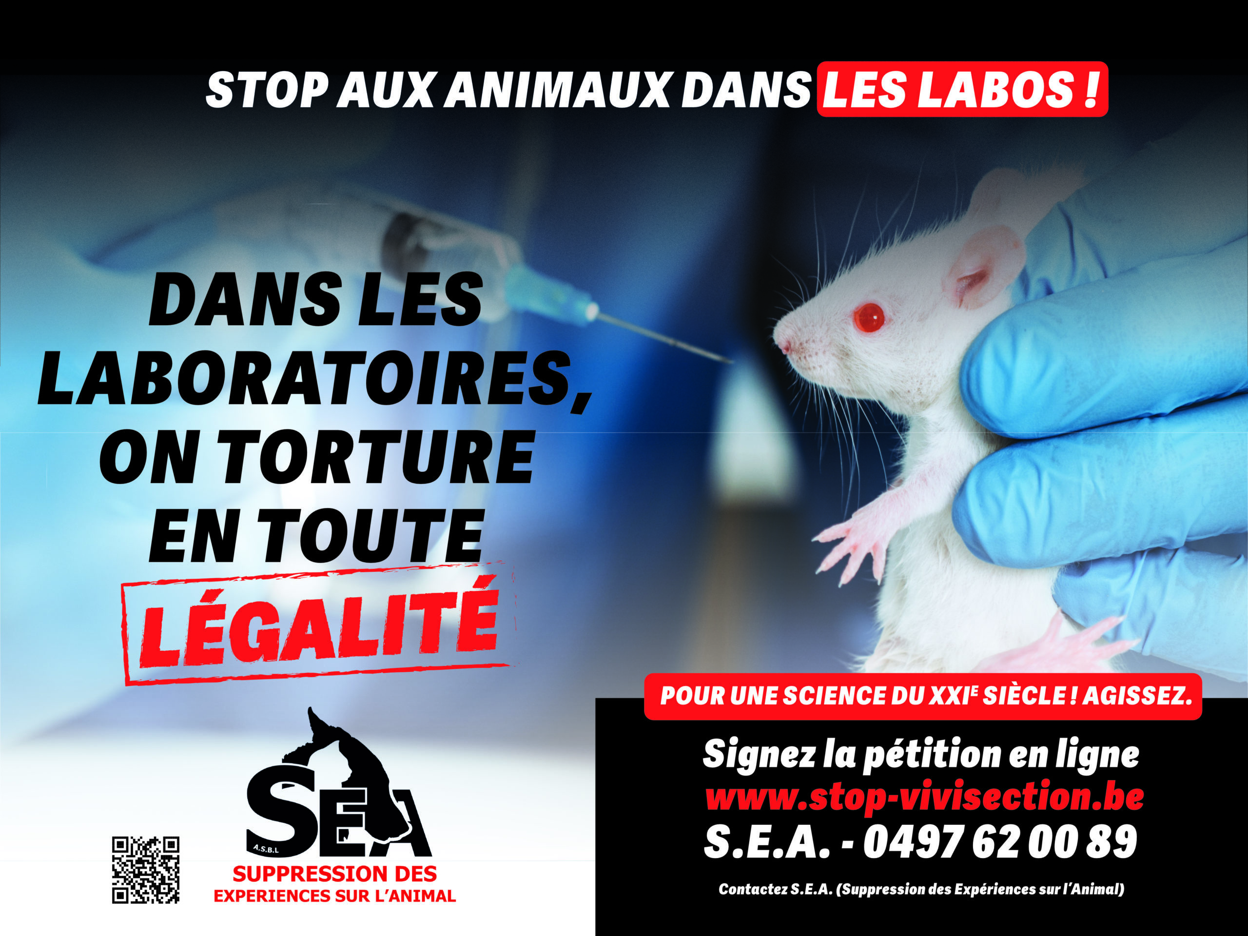 Aidez les animaux victimes de maltraitance dans les laboratoires – S.E.A. BE59 0682 0310 8226